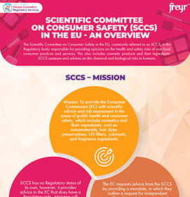 Scientific Committee on Consumer Safety (SCCS) in the EU - An Overview